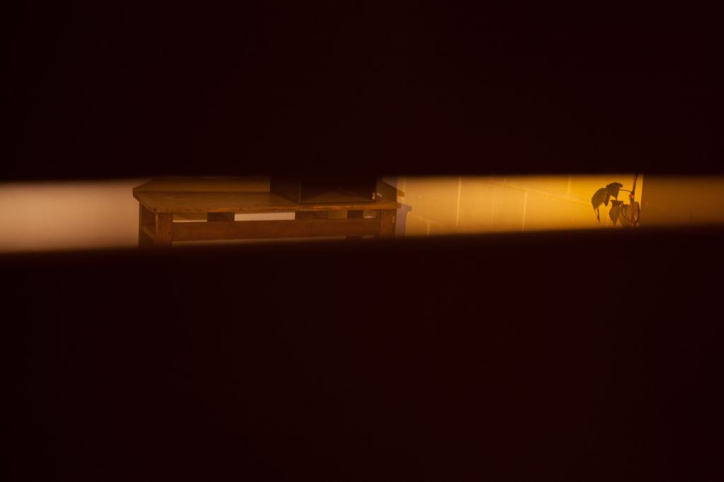 Katrina Palmer, Dr Sinclair's Drawer at Flat Time House, photographed by Re